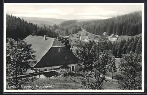AK Sayda i. Erzgeb., Mortelgrund