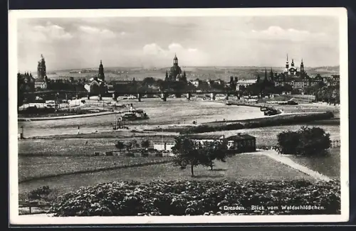 AK Dresden-Neustadt, Blick vom Waldschlösschen
