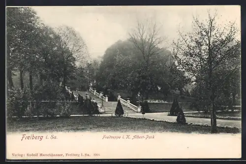 AK Freiberg i. Sa., Freitreppe im K. Albert-Park