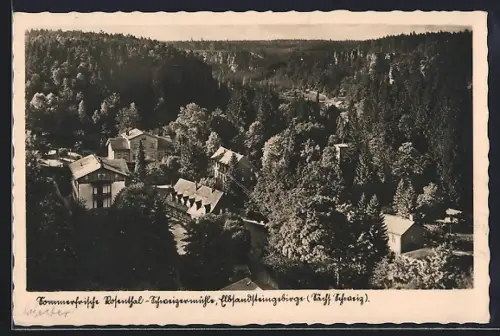 AK Kurort Rosenthal-Schweizermühle /Elbsandsteingebirge, Ortsansicht mit Wald