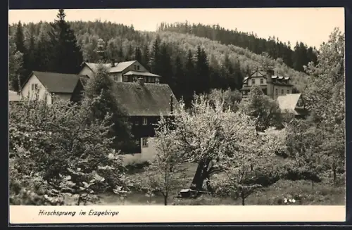 AK Hirschsprung im Erzgebirge, Dorfansicht im Wald