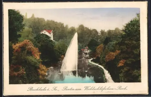 AK Buchholz i. Sa., Partie am Waldschlösschen-Park
