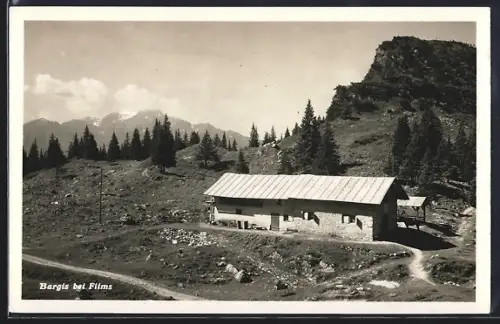 AK Trins, Alpe Bargis am Flimserstein