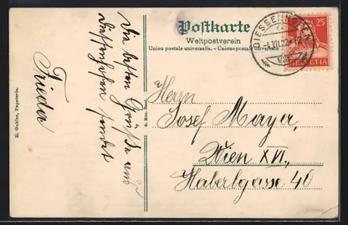 AK Diessenhofen, Rheinpartie mit Dampfer