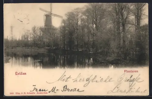AK Leiden, Plantsoen