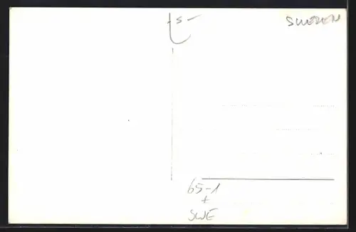 AK Ludvika, Järnvägsstationen, Bahnhof