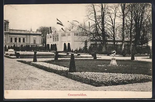 AK Haarlem, Nationale Bloemententoonstelling 1910, Crocusvelden, Ausstellung