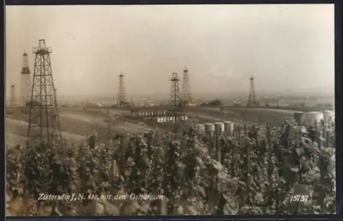 AK Zistersdorf, Blick von einem Weinberg auf Erdöl-Fördertürme