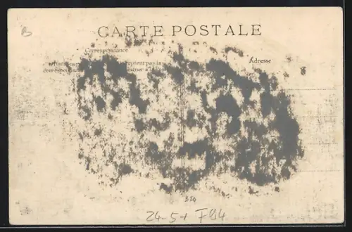 AK L`Ile Saint-Pierre, Inondations 1910, Route de Milan, Hochwasser
