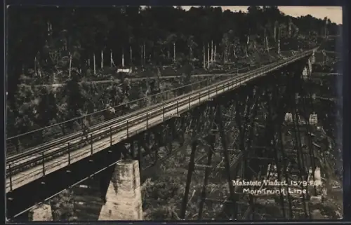 AK Makatote, Viaduct, Main Trunk Line, Eisenbahn