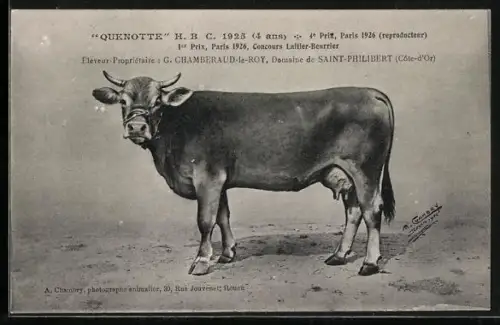 AK Saint-Philibert, Quenotte H.B.C. 1925