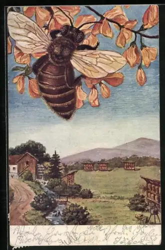 AK Bienenstand und Biene, Imkerei, Honig