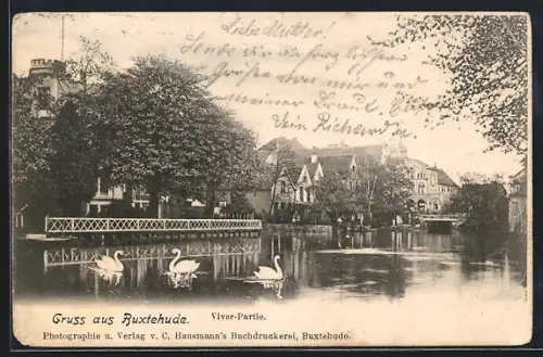 AK Buxtehude, Viver-Partie