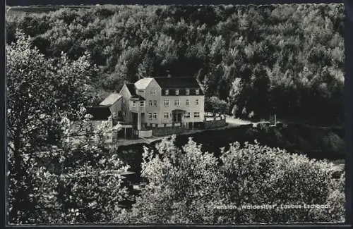 AK Laubus-Eschbach /Taunus, Restaurant Hotel Waldeslust, Bes. E. Kramer