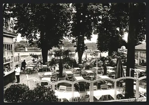 AK Berlin-Tegel, Restaurant Seeblick, Scharfenberger Strasse 32, Inh. Thea Rosche