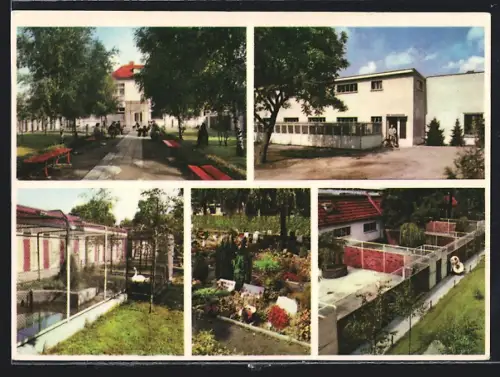 AK Berlin-Lankwitz, Tierheim, Dessauerstrasse 21-25