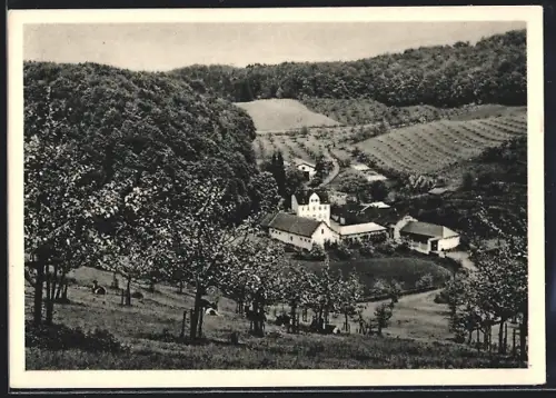 AK Jugenheim an der Bergstrasse, Obstgut Talhof, Obstplantagen