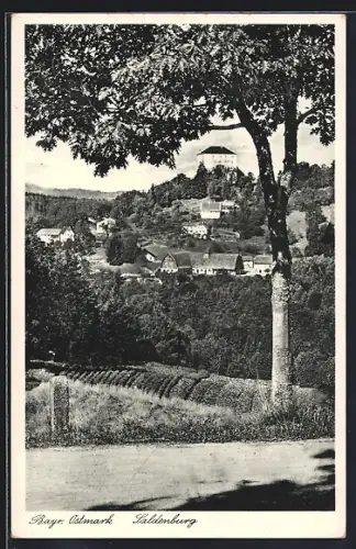 AK Saldenburg /Bayr. Ostmark, Ortsansicht mit Burg