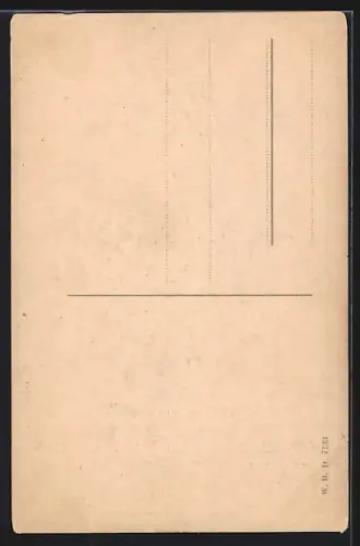 AK Nürnberg, Gänsemännchen-Brunnen