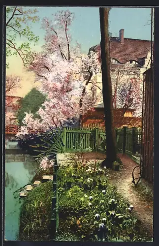 AK Berlin, Idyll an der alten Garnisonmühle