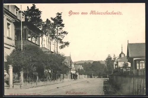 AK Dresden-Kleinzschachwitz, Partie in der Pillnitzerstrasse