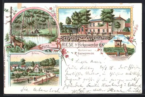Lithographie Briese, Ortsansicht, Restaurant R. Bachernick, Hirsch an der Quelle