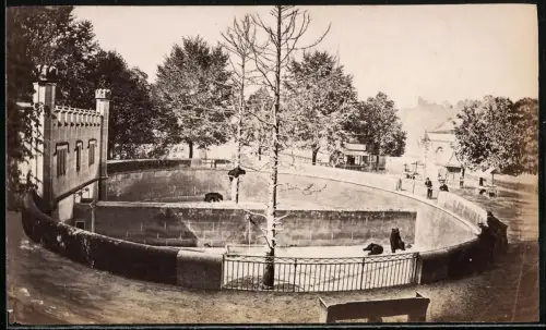 Fotografie unbekannter Fotograf, Ansicht Bern, der Bärenzwinger in der Stadt