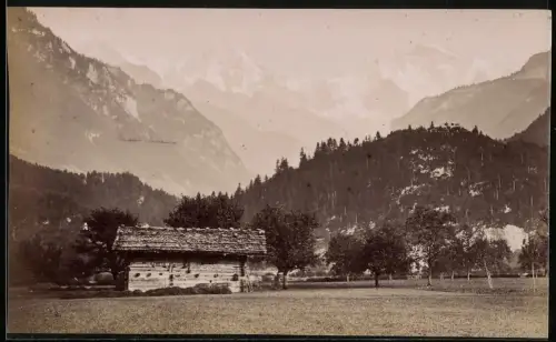 Fotografie unbekannter Fotograf, Ansicht Interlaken, Blick nach Mönch, Eiger und Jungfrau