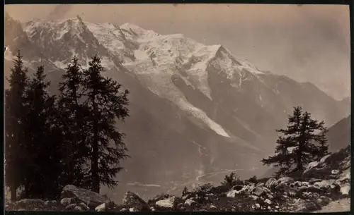 Fotografie unbekannter Fotograf, Ansicht Chamonix-Mont-Blanc, Blick nach dem Mont Blanc