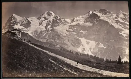 Fotografie unbekannter Fotograf, Ansicht Wengernalp, Blick auf Mönche, Jungfrau und Eiger
