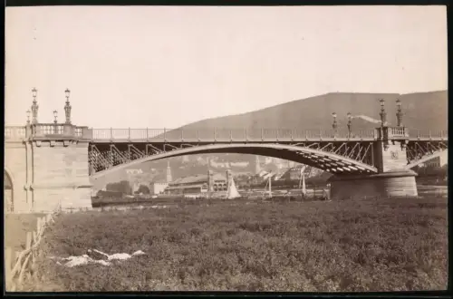 Fotografie unbekannter Fotograf, Ansicht Heidelberg, Blick durch die Brücke nach dem Festbau zur 500 Jahrfeier der Uni.