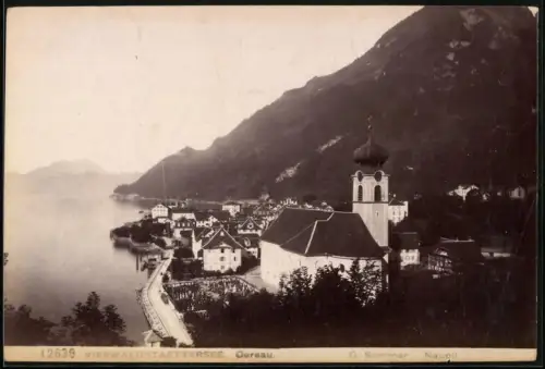 Fotografie G. Sommer, Napoli, Ansicht Gersau, Teilansicht des Ortes am Vierwaldstättersee