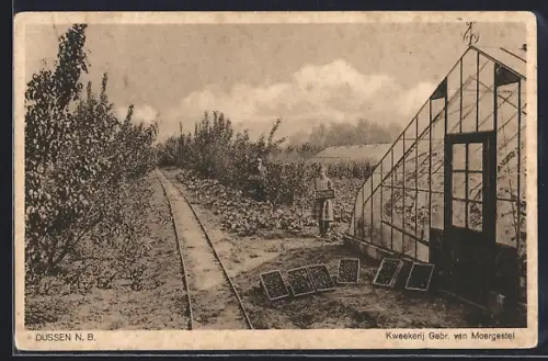 AK Dussen /N. B., Kweekerij van Moergestel