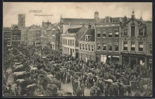 AK Utrecht, Palmpaardenmarkt