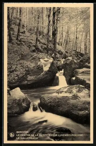 AK Berdorf, Le Hallerbach