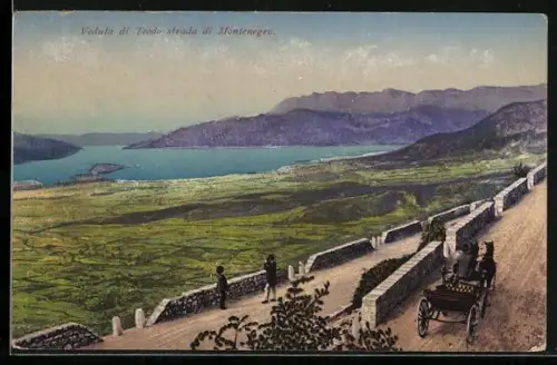 AK Teodo strada, Ortsansicht mit Pferdekutsche und Bergen