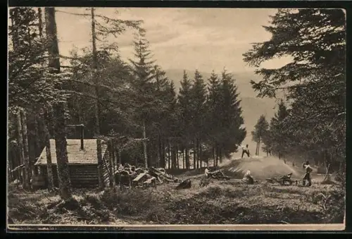 AK Kohlenmeiler auf dem hohen Schwarzwald, Forstwirtschaft