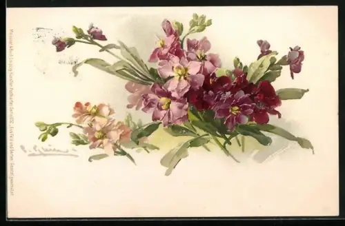 Künstler-AK Catharina Klein: Strauss aus rosa, violetten und dunkelroten Levkojenblüten auf hellem Hintergrund