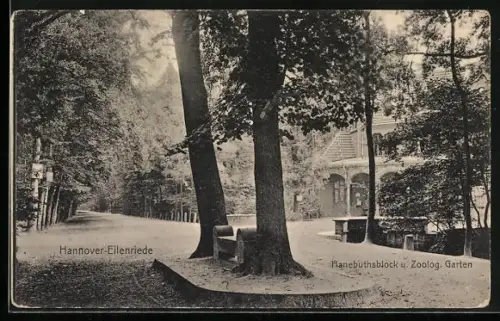AK Hannover-Eilenriede, Hanebuthsblock u. Zoolog. Garten, Strassenpartie
