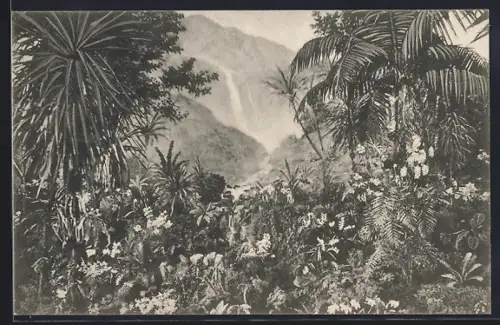AK Dresden, III. Internationale Gartenbau-Ausstellung 1907, Brasilianischer Urwald mit Orchideen
