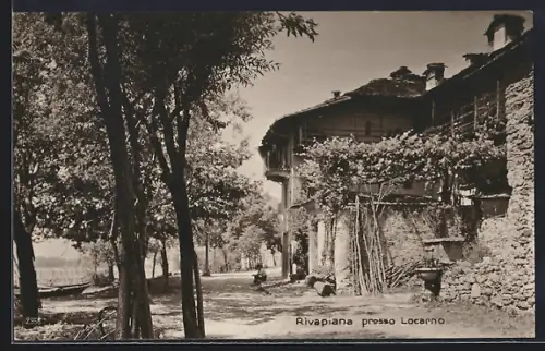 AK Locarno, Rivapiana