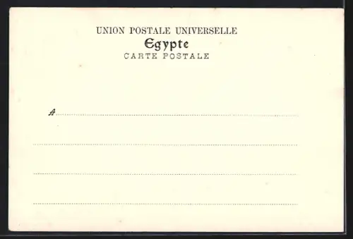 AK Port Said, Entrée