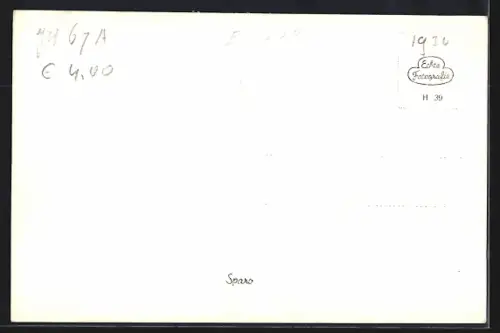 AK Rotterdam, Havengezicht