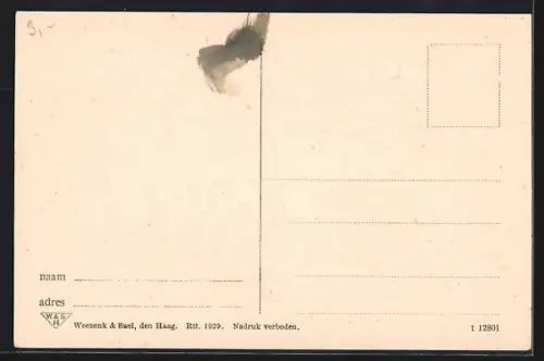 AK Rotterdam, Rijnhaven