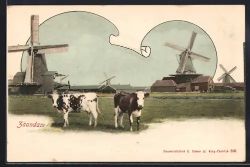 AK Zaandam, Kühe vor Windmühlen