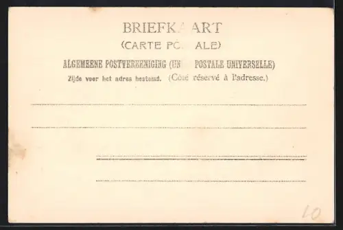 AK Zaandam, Kühe vor Windmühlen