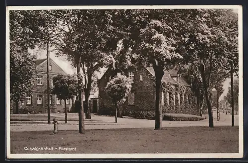 AK Coswig-Anhalt, Forstamt