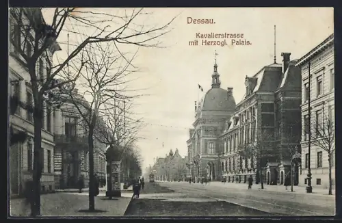 AK Dessau, Kavalierstrasse, Herzogliches Palais