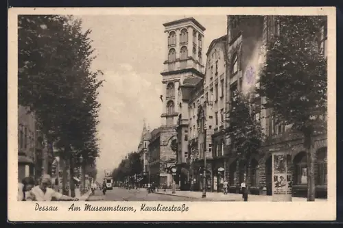 AK Dessau, Am Museumsturm, Kavalierstrasse