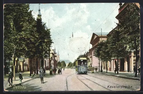 AK Dessau, Kavalierstrasse, Strassenbahn